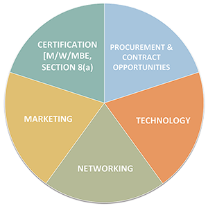 CBA Capability Statement Pie chart